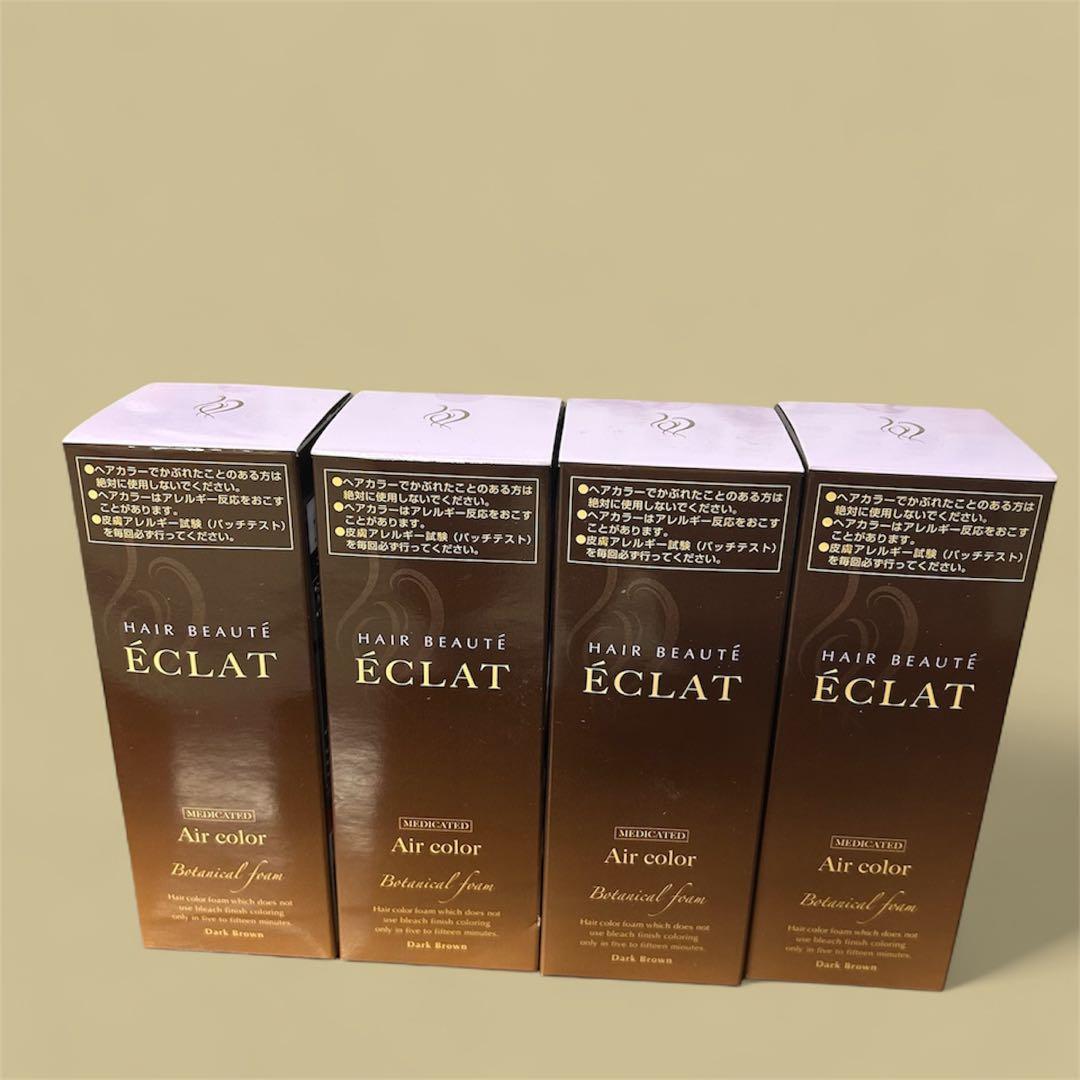 ヘアボーテ　エクラ ボタニカル　エアカラーフォーム ダークブラウン 4本セット