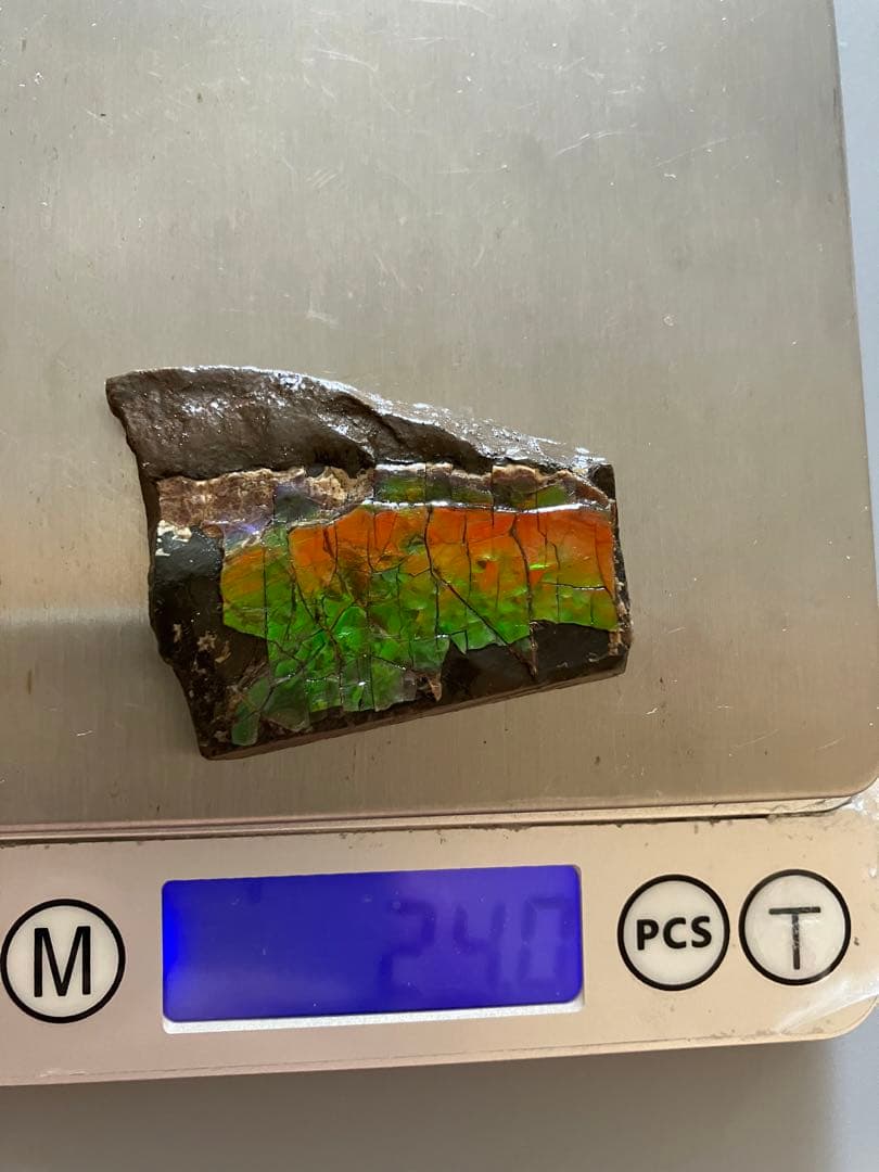 化石　原石　アンモライト　アンモナイト　幅4.4cm カナダ産　置物　箱付き