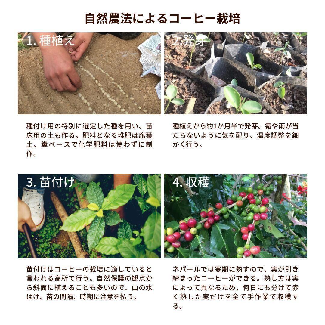 ★オーガニックコーヒー ダーク フェアトレード 1kg 粉 コーヒー豆 ネパール