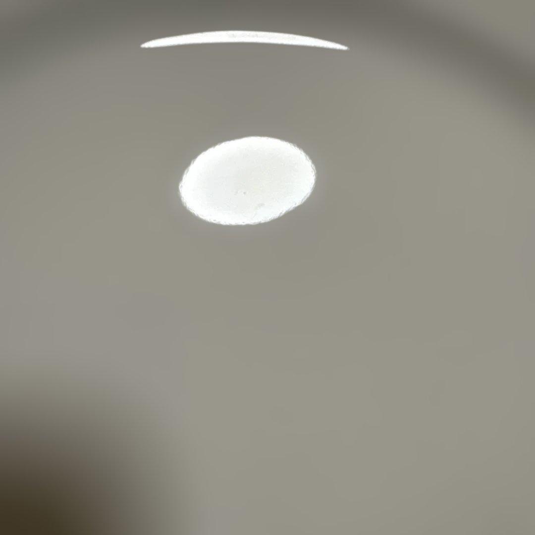 エルメス シェーヌダンクル　プレート　27cm