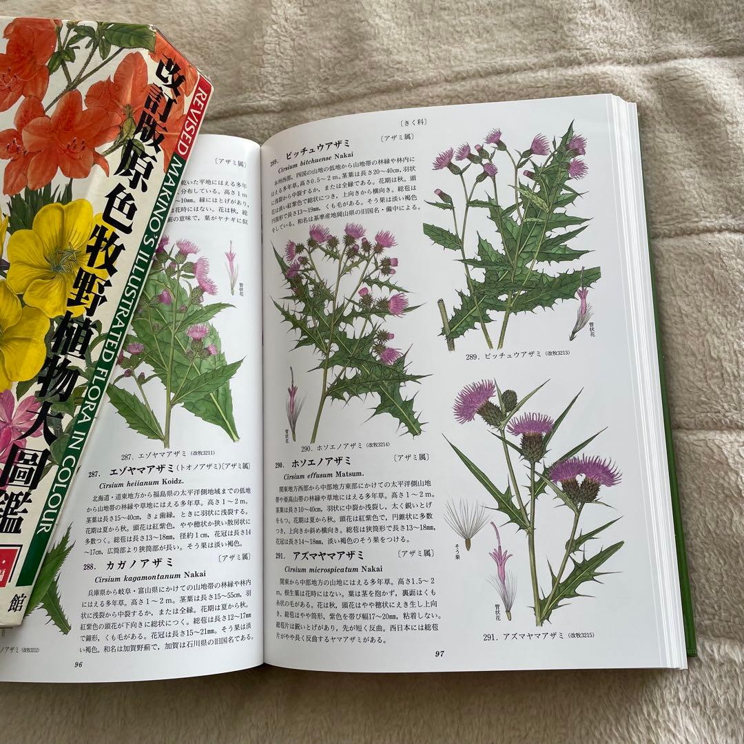 牧野日本植物図鑑 3巻セット