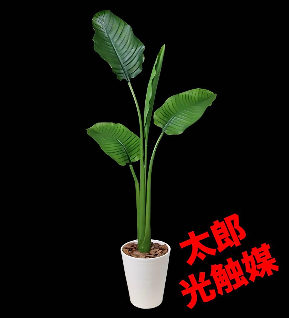 光触媒　人工観葉植物　ウォールグリーン　フェイクグリーン　トラベラーズパーム31
