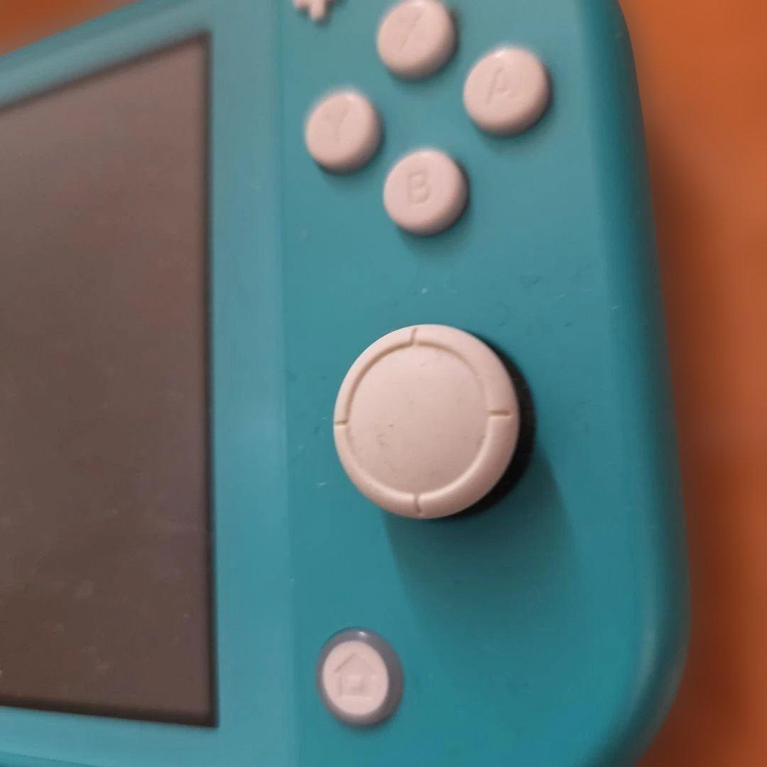 Nintendo Switch Lite本体　専用ケース付き