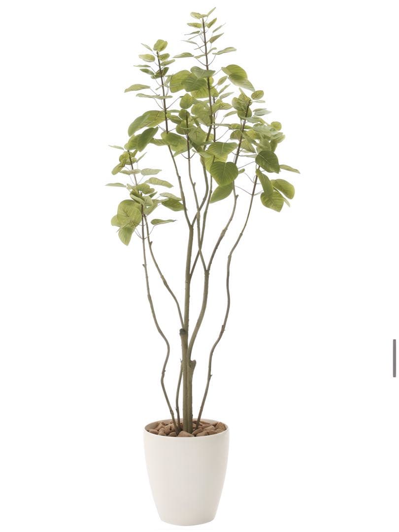 光触媒　人工観葉植物　フェイクグリーン　フィカスブランチツリー1.3m