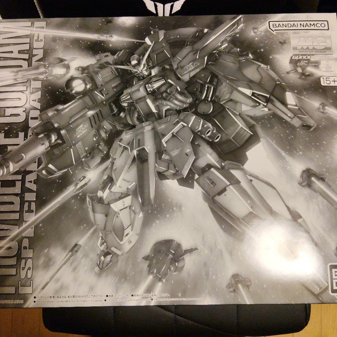 二階堂　MG プロヴィデンスガンダム　スペシャルコーティング