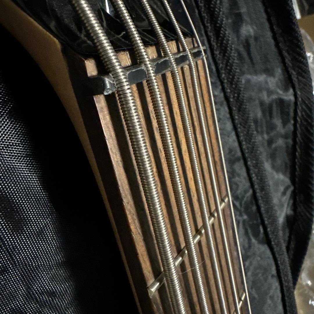 Peavey Millennium 5弦エレキベース