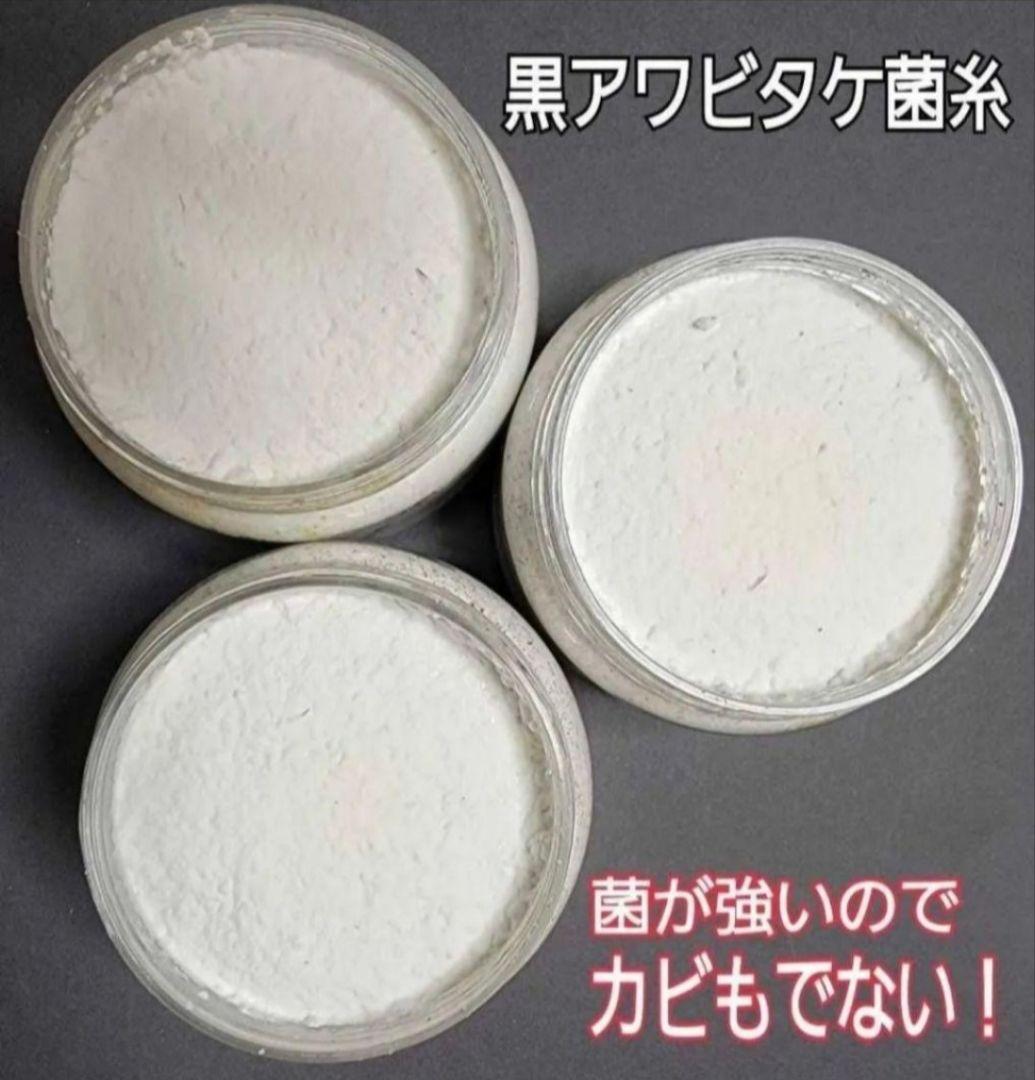 ニジイロクワガタにお薦め！黒アワビタケ菌糸瓶【８本】オオクワ、ヒラタ、ノコギリに