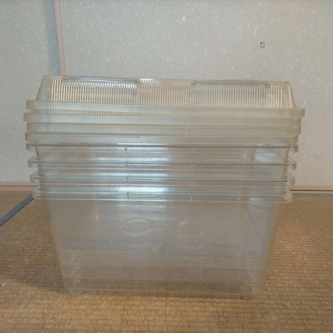 特大 クリア飼育ケース クリアプラケース 虫かご 爬虫類 4個セット