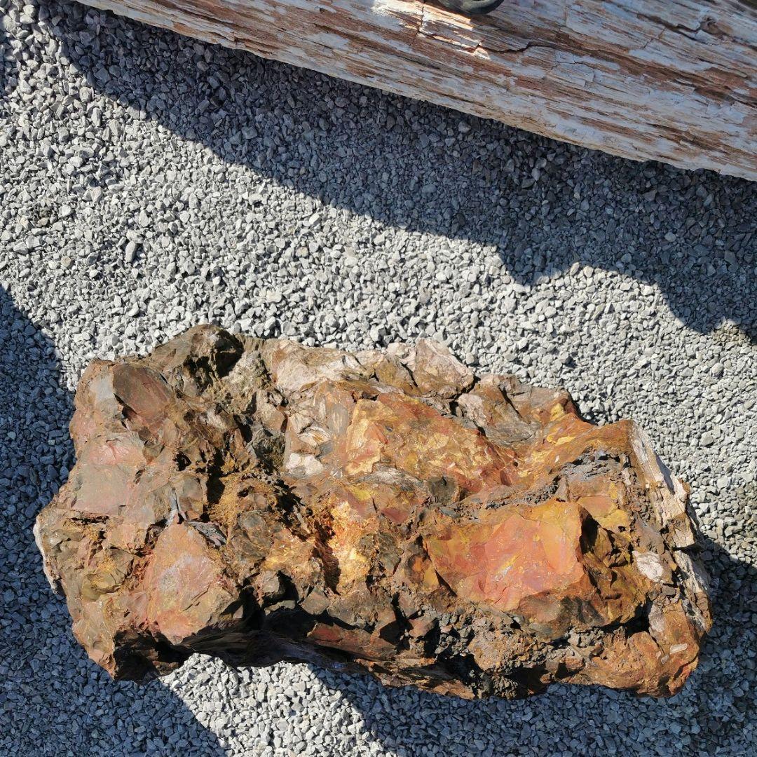 福島産　ジャスパー　186キロ　庭石　石　鑑賞石　庭　置物　オブジェ　インテリア