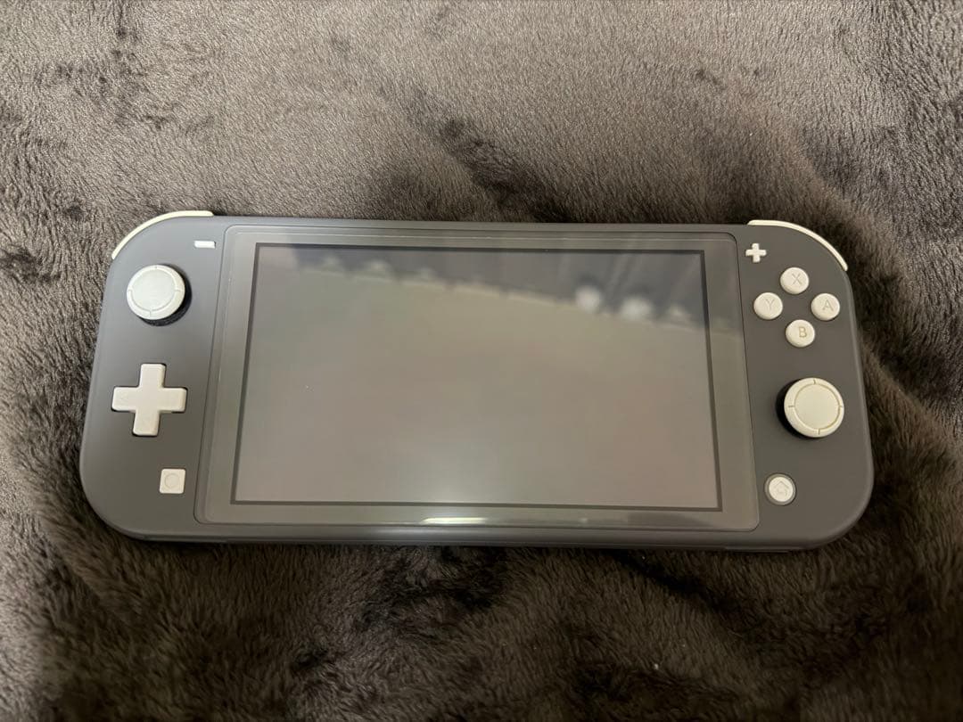 【原則即日発送】Nintendo Switch Lite グレー