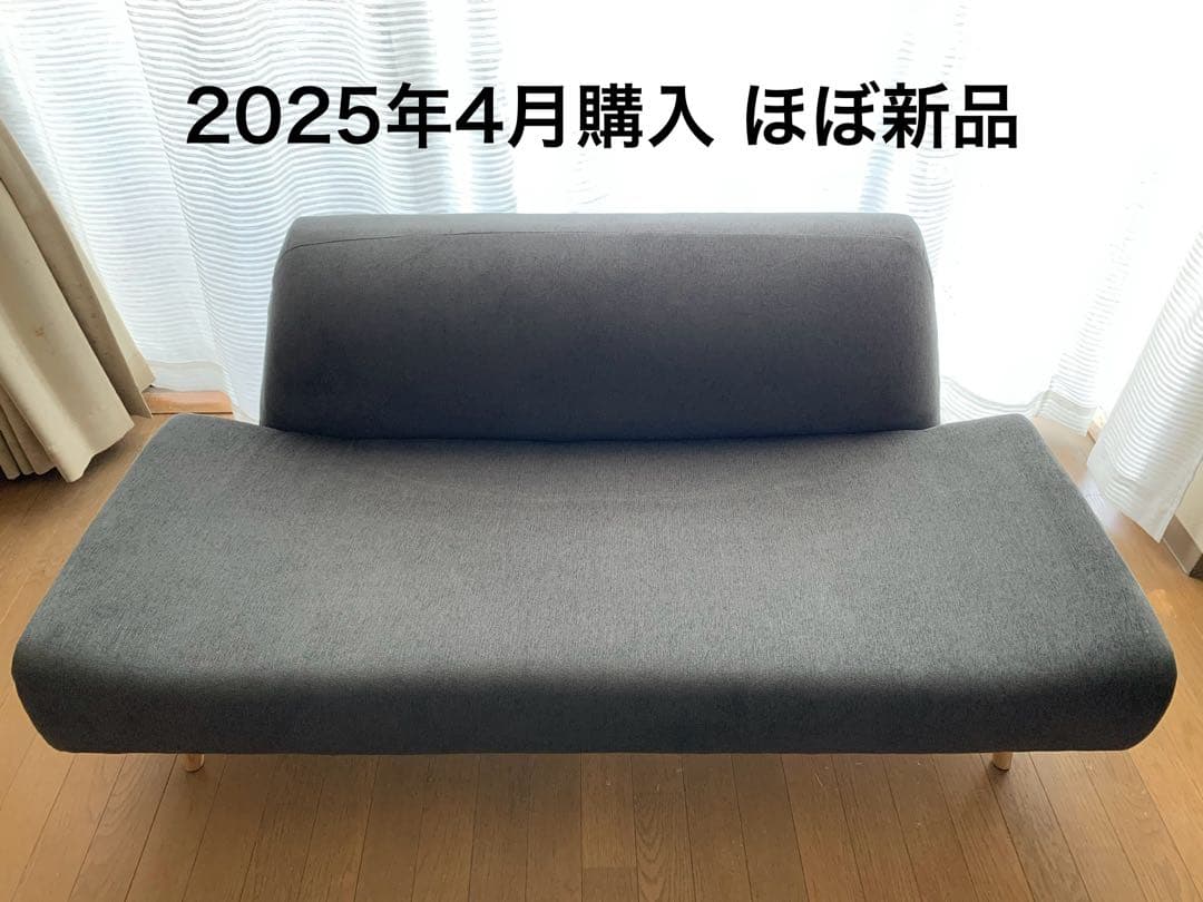 ⭐︎Cy⭐︎⭐︎【美品・ほぼ新品】IDEE AO SOFA（チャコール）2人掛け