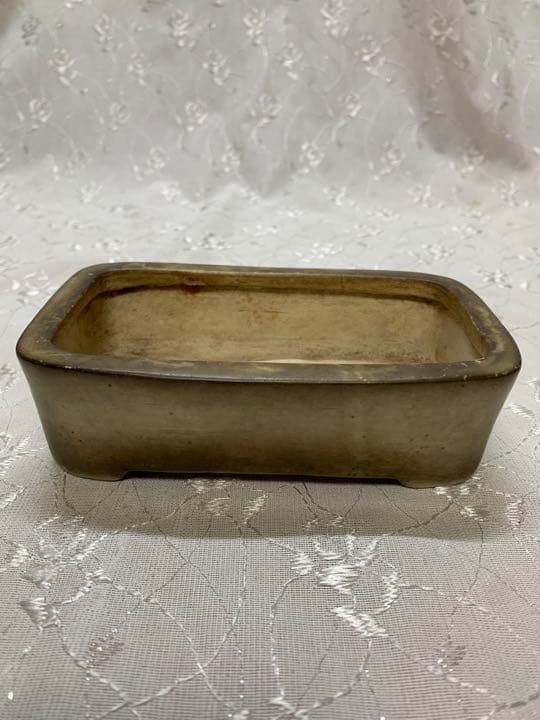 骨董品　訳あり　青交趾　白交趾　盆栽鉢