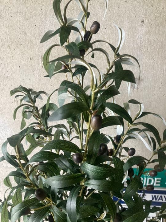 光触媒　人工観葉植物　ウォールグリーン　フェイクグリーン　オリーブ100tp
