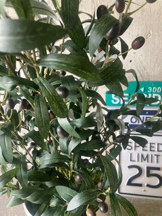 光触媒　人工観葉植物　ウォールグリーン　フェイクグリーン　オリーブ100tp