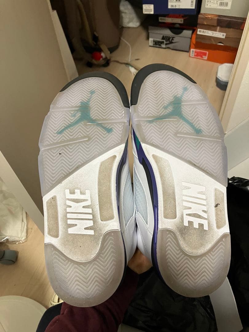 Air Jordan 5 グレープ　AJ5
