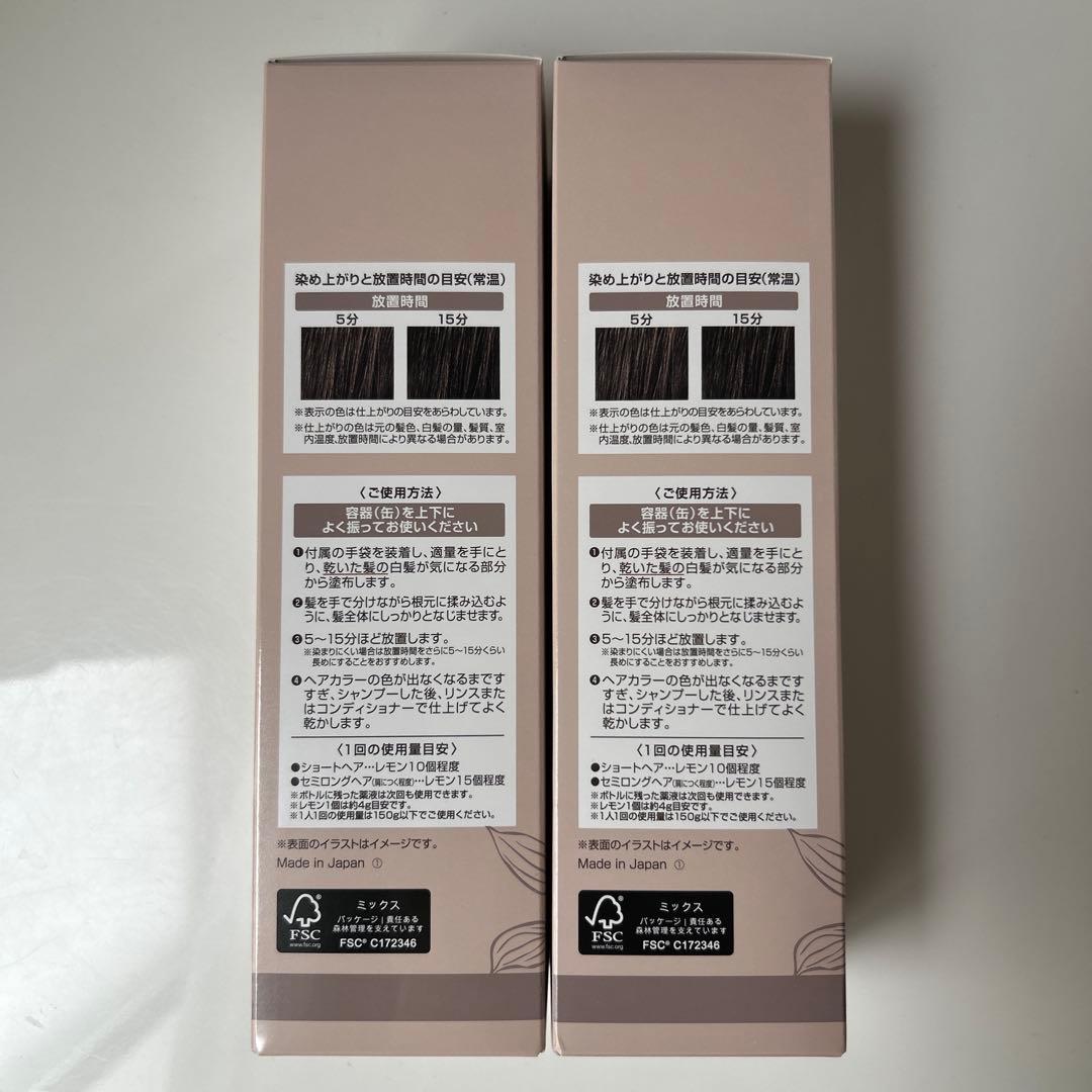 ヘアボーテエクラボタニカル エアカラーフォーム up ダークブラウン2本