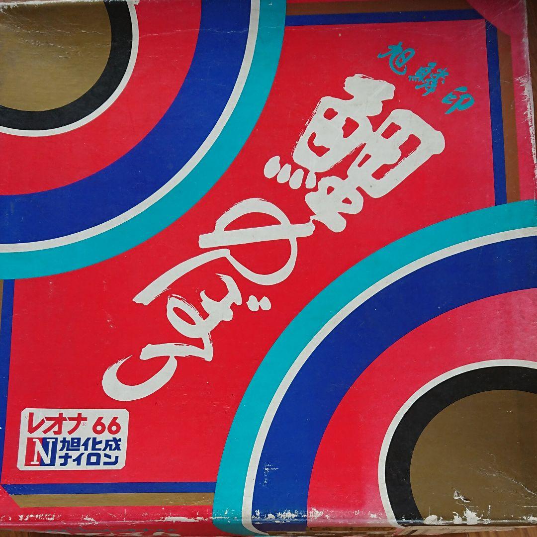 レオナ鯉のぼり