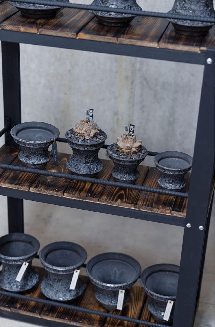 男前インテリア　植物棚　棚　収納　国産桧　ディスプレ　アガベ　塊根植物 922