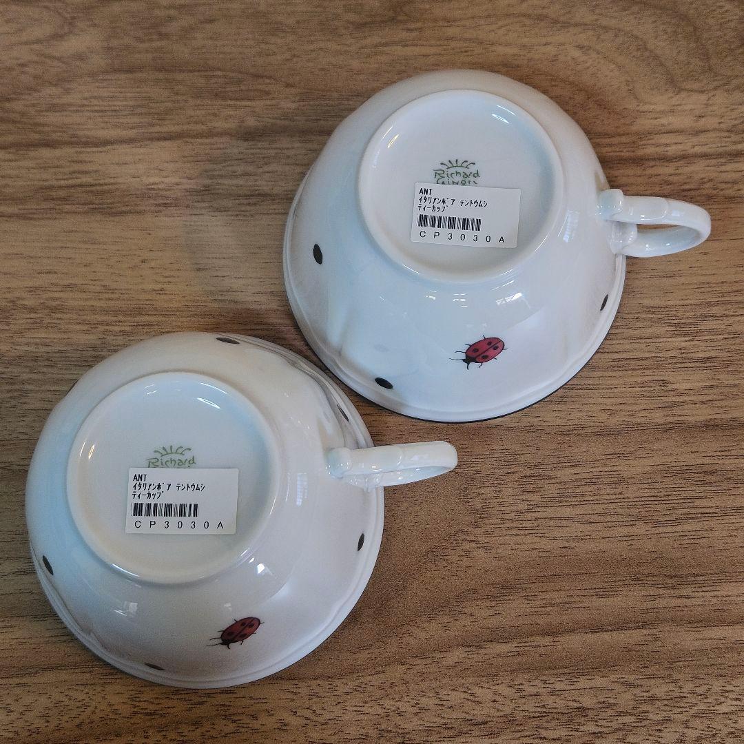 美品 リチャードジノリ Ginori Richard カップ ソーサー