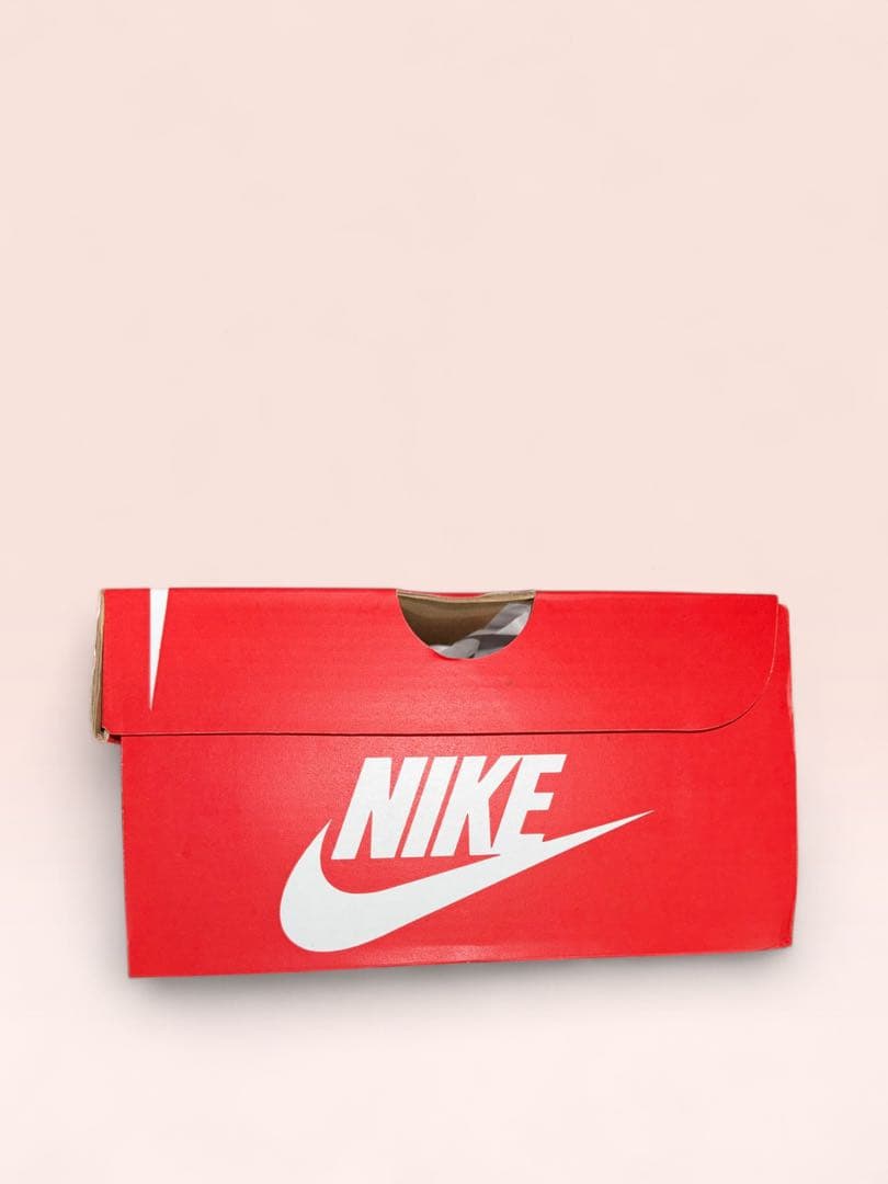 靴 Nike AirMax95 OG CoolGrey/BlueSpark