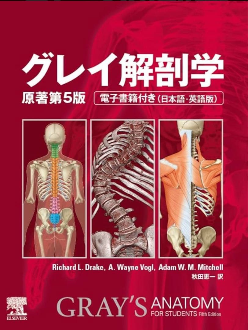 グレイ解剖学原著第5版