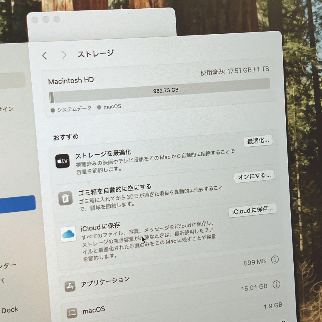 MacBook Pro 15.4インチ（外箱付）2019/i9/32GB/1TB