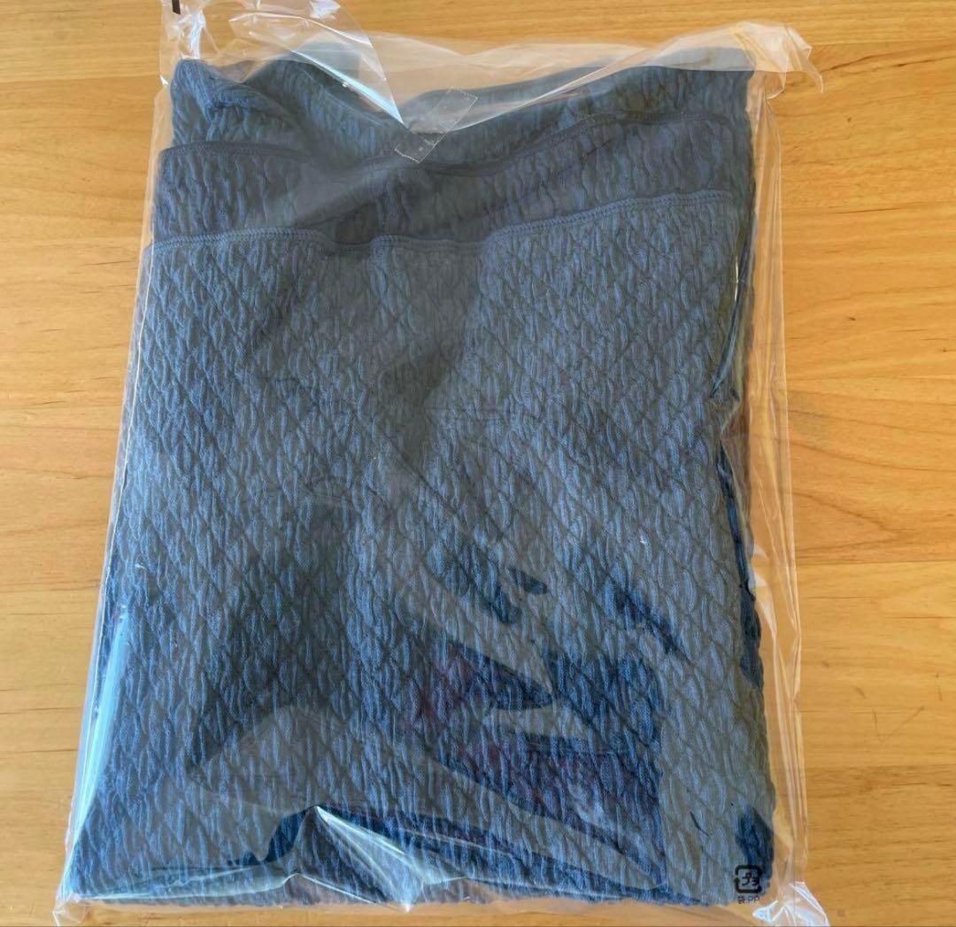 (新品未使用)ひだまり肌着 チョモランマ 婦人 長袖丸首インナーM