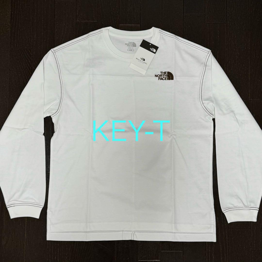 新品 THE NORTH FACE ロゴ刺繍 ステッチ 長袖 ロンT 2XL