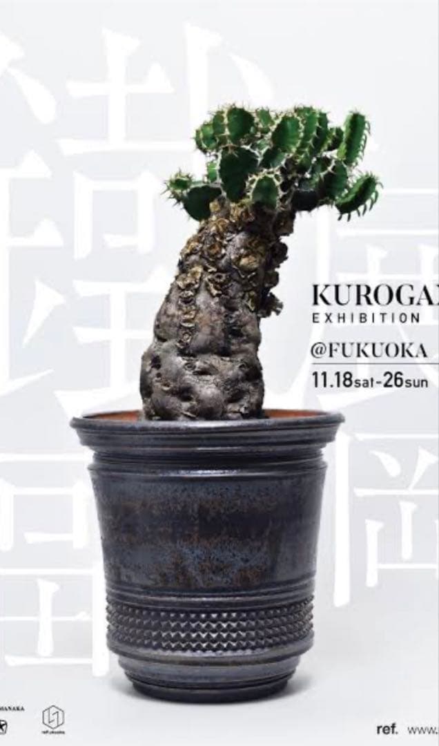 濱中史郎 大屋窯 萩焼 鉢 プランター
