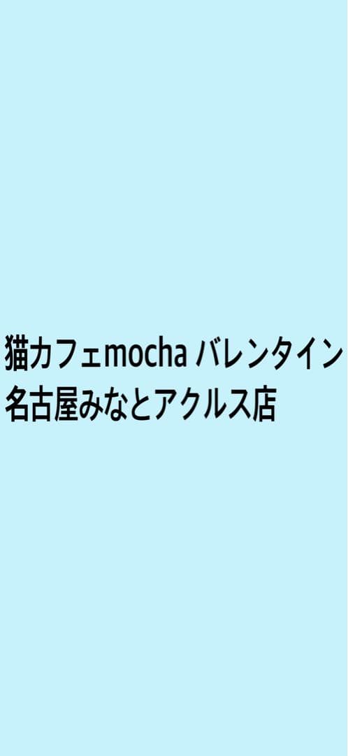 猫カフェmocha どきどきバレンタイントレカ　みなとアクルス店
