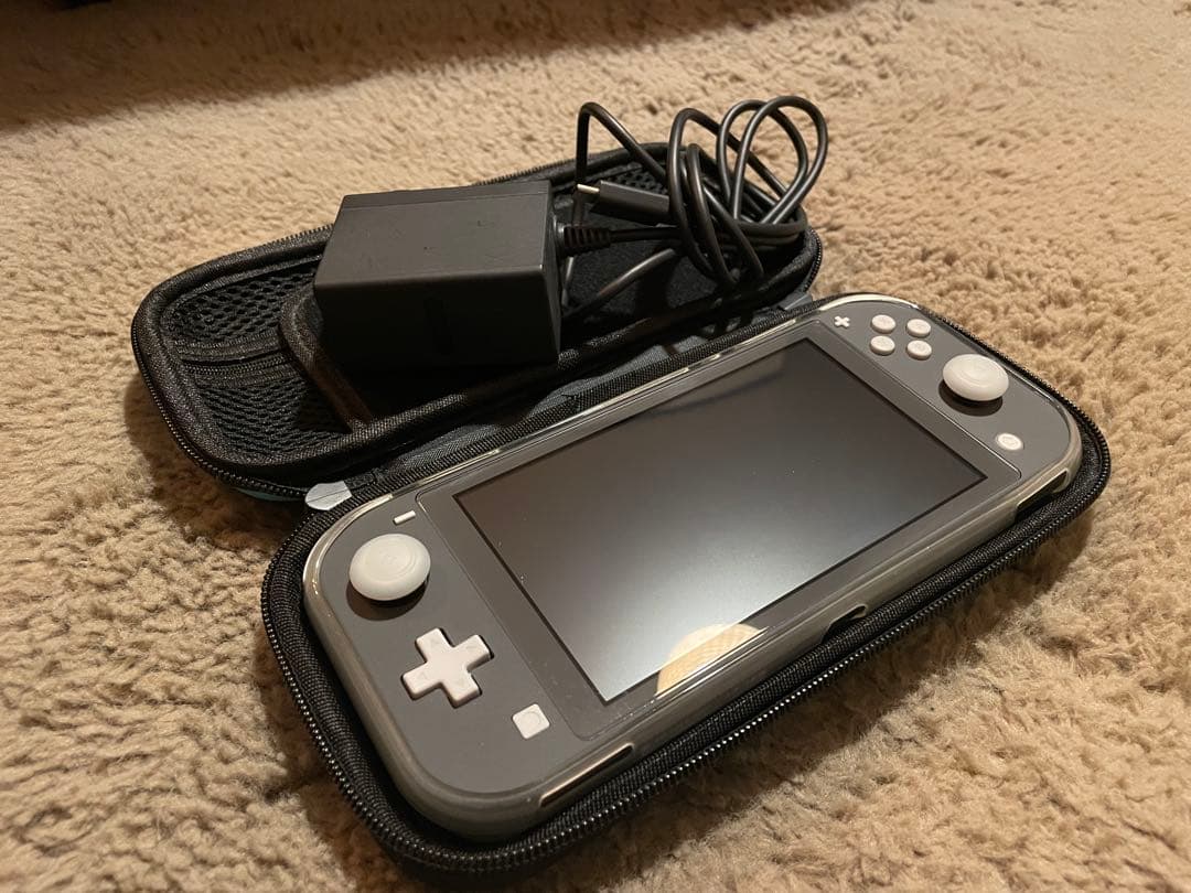 Nintendo Switch Lite グレー 充電器・ケース付き