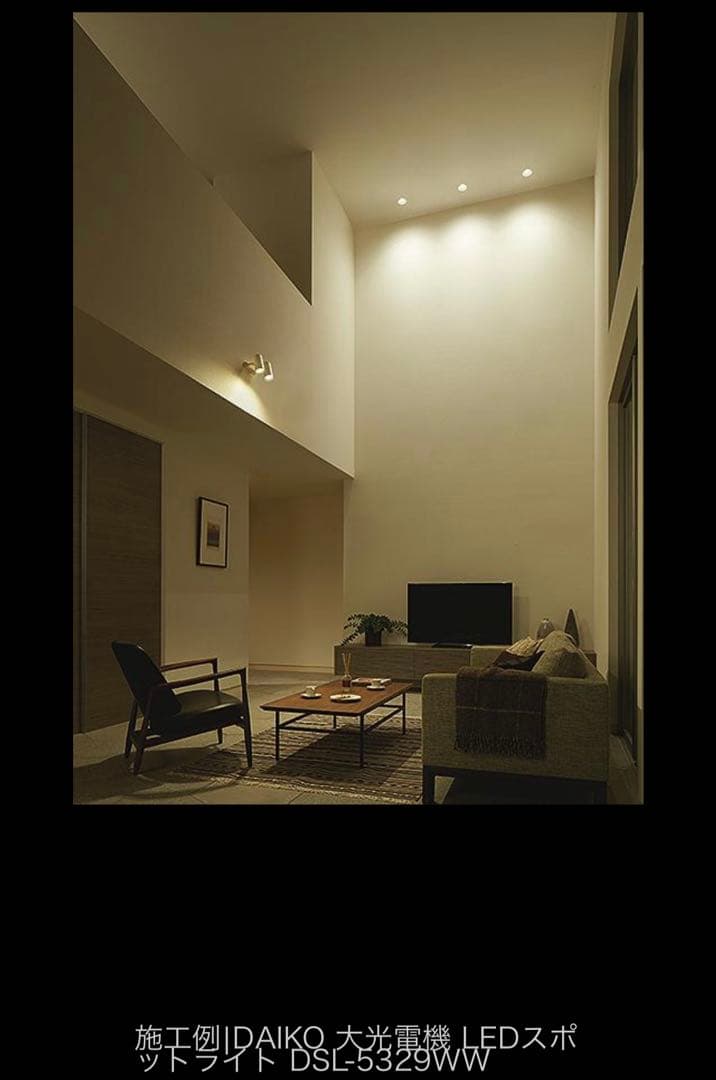 【新品・未開封】DSL-5329WW DAIKOスポットライト非調光　2個セット