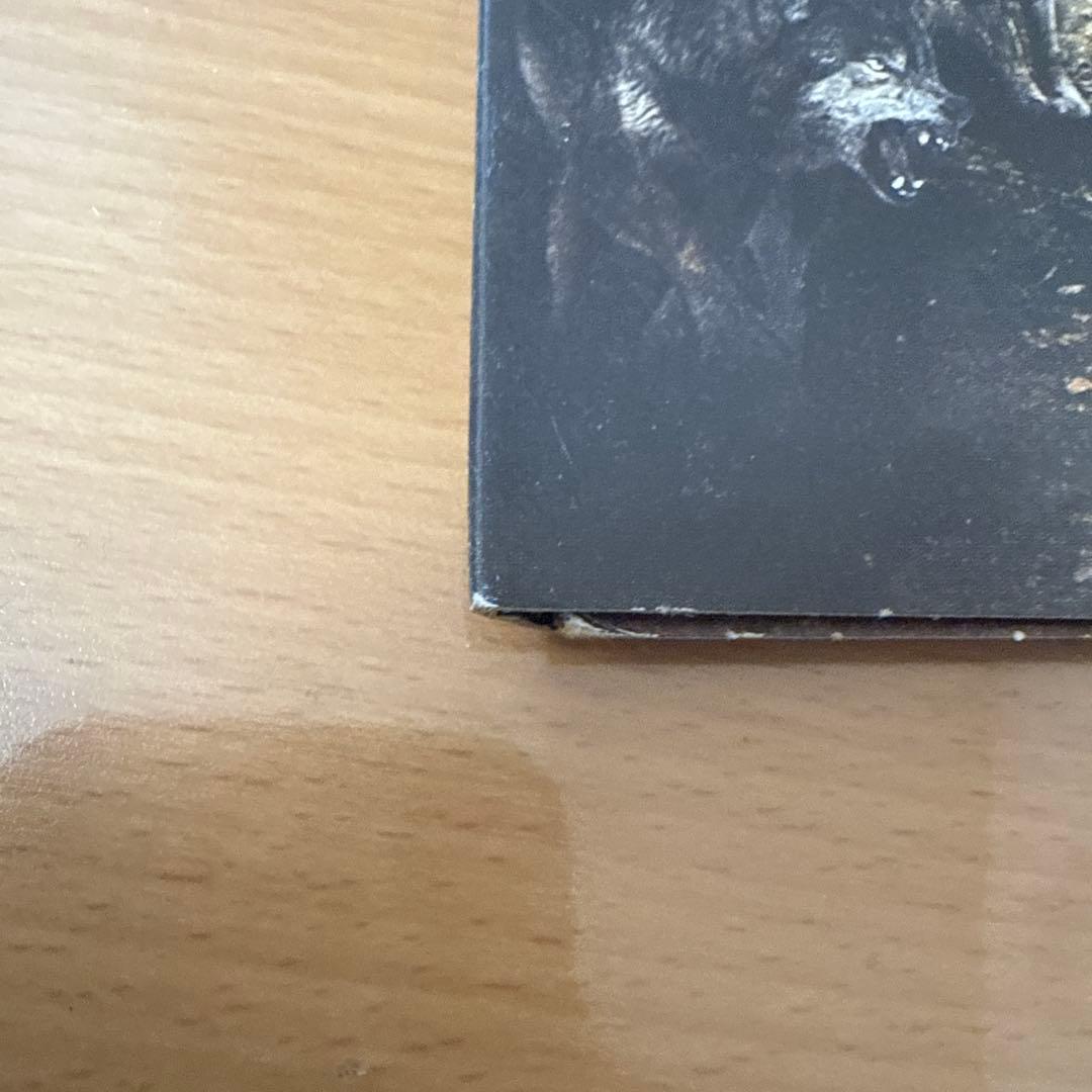 earth from above 「NUMBERED WITH THE 〜