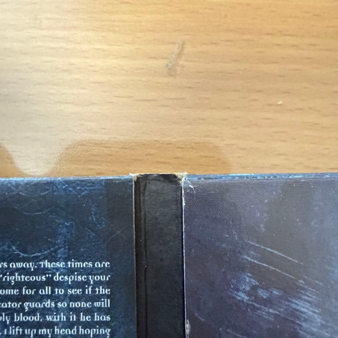 earth from above 「NUMBERED WITH THE 〜