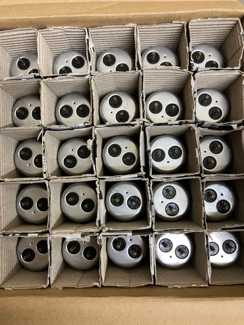 FL20S G 25本セット