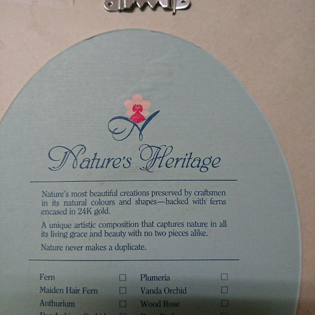 本物の花フレーム入り リーフ インテリア 壁掛け 24K GOLD　◯◯