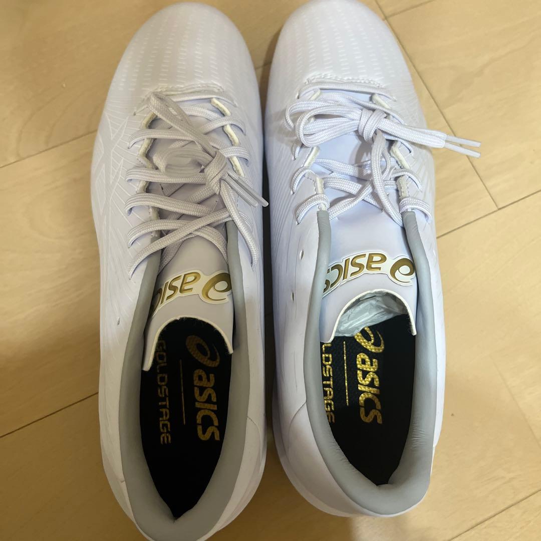 asics Dストレージ ホワイト スパイク