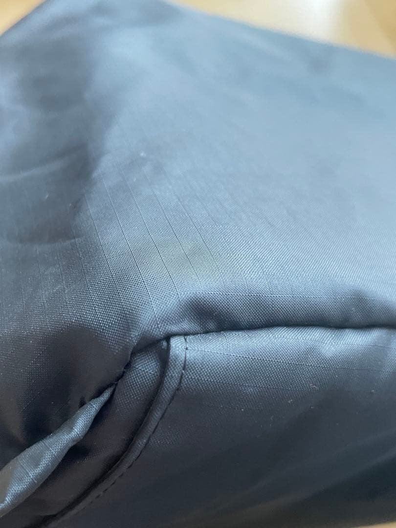 Patagonia パタゴニア　ライトウェイトトラベルトートパック