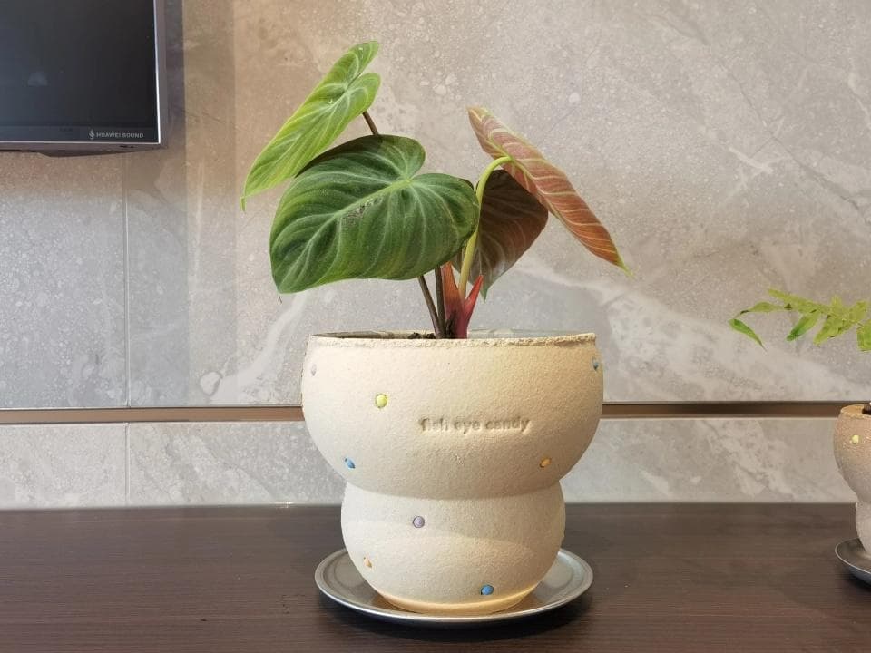 N0282 ciireals 手づくり 高品質 素焼鉢 植木鉢 通気デザイン抜群