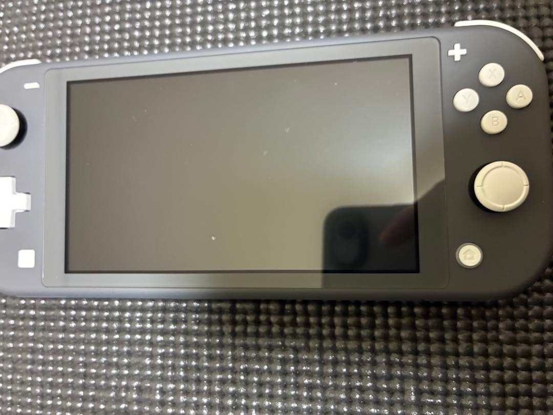 Nintendo Switch Lite グレー 本体　箱・純正ケース付き