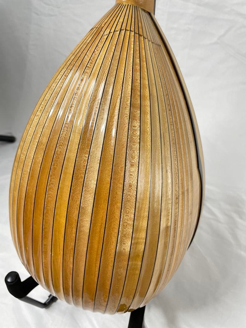 SUZUKI/スズキ クラシックマンドリン M-100