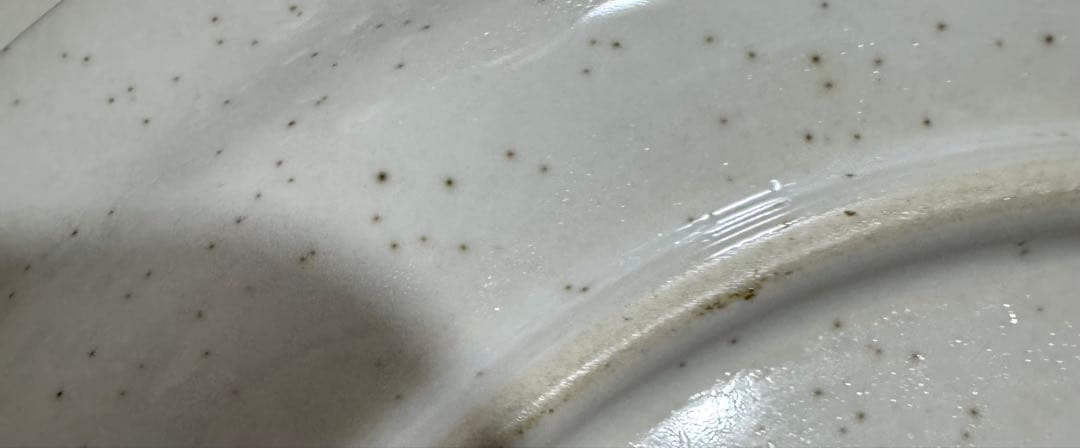 Old Brook ストーンウェア19cm 10枚