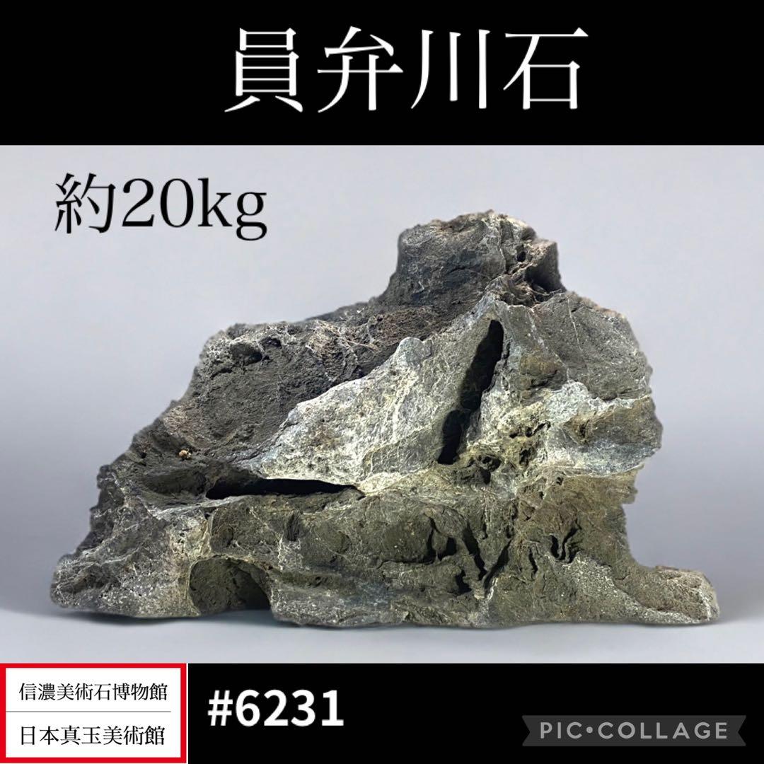 6231 大型 員弁川石 横43.2(cm) 20.55kg 水石 盆栽骨董