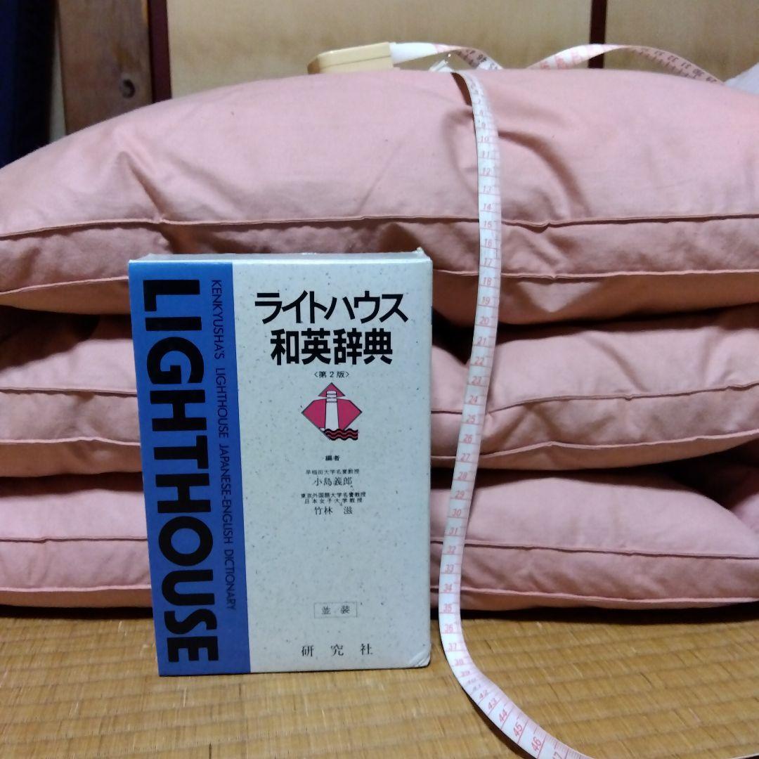Feather Futon 羽毛敷き布団　送料キャンペーン中のみカバー付き