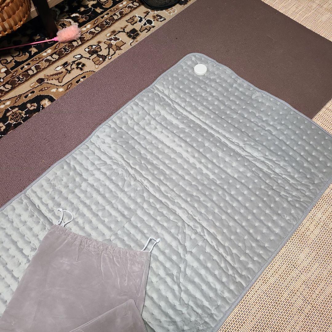 DENBA charge マット中