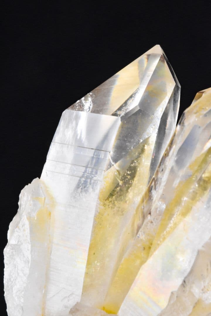 ベトナム イェンバイ産 ゴールデンヒーラークラスター