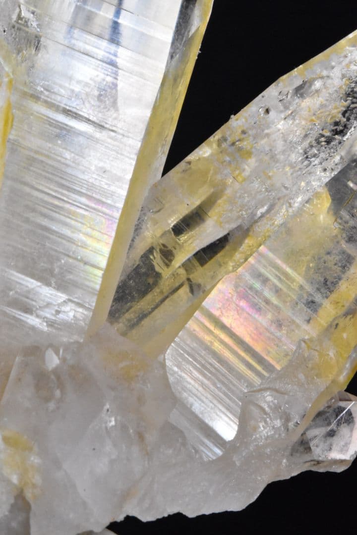 ベトナム イェンバイ産 ゴールデンヒーラークラスター