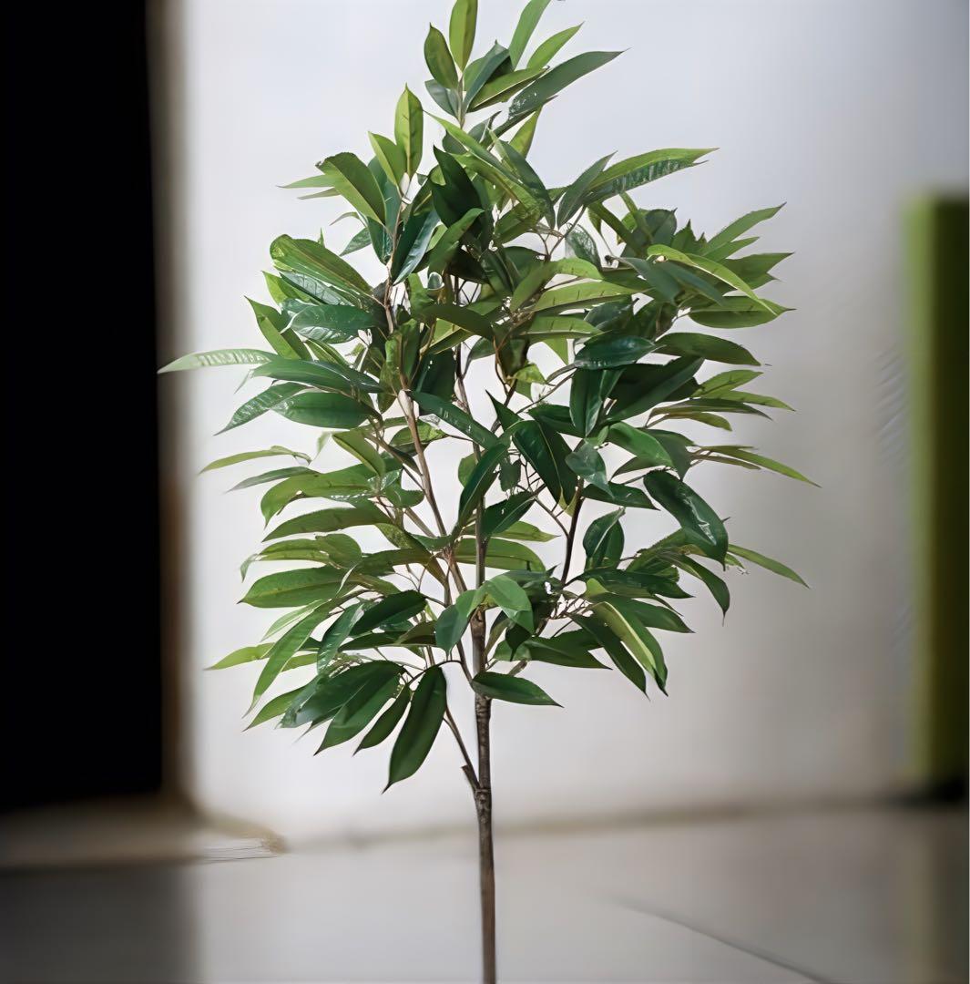 光触媒　人工観葉植物　ウォールグリーン　フェイクグリーン　ショウナンゴム180e