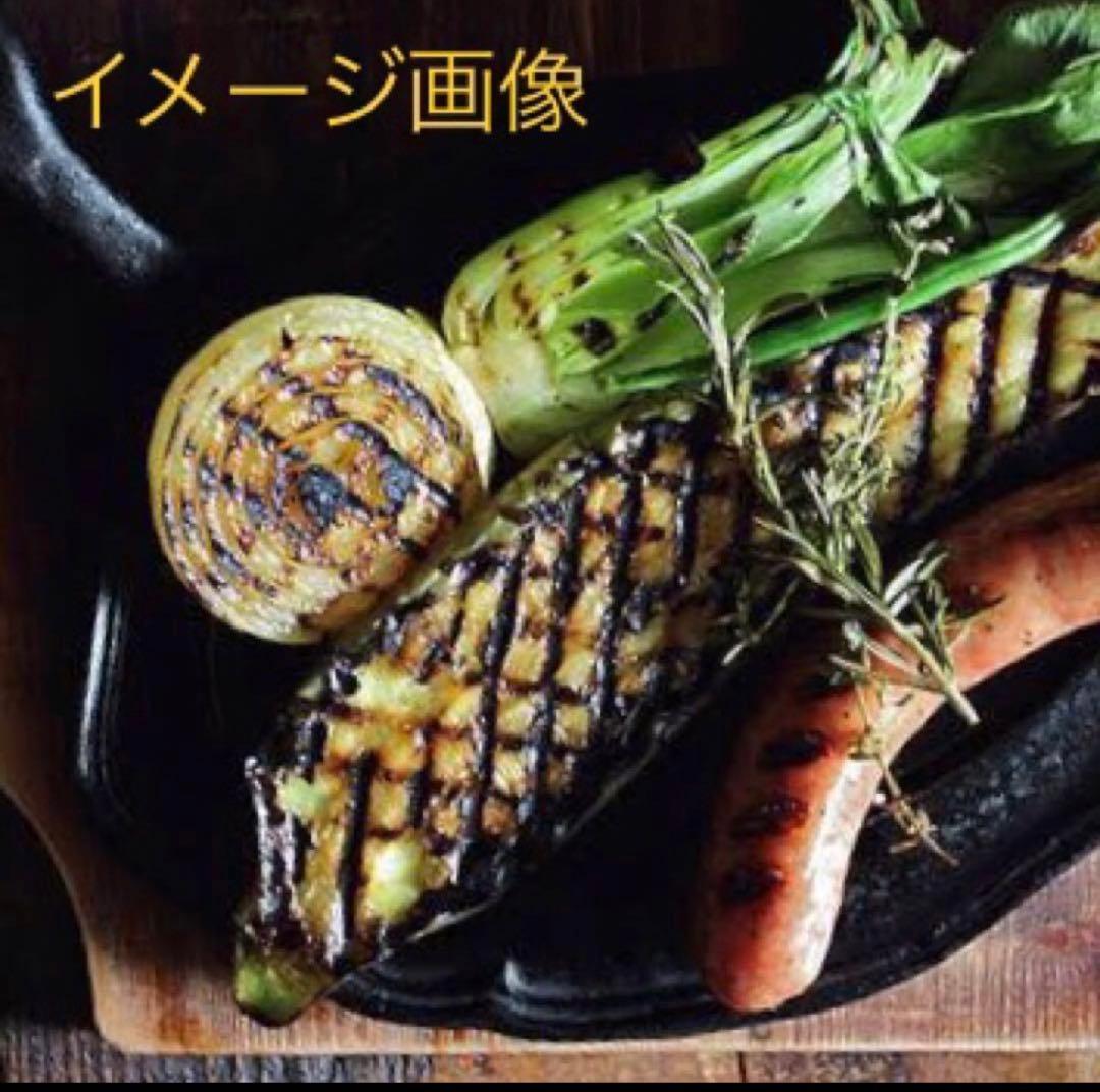 新品 未使用] ル・クルーゼ スクエア パニーニプレス