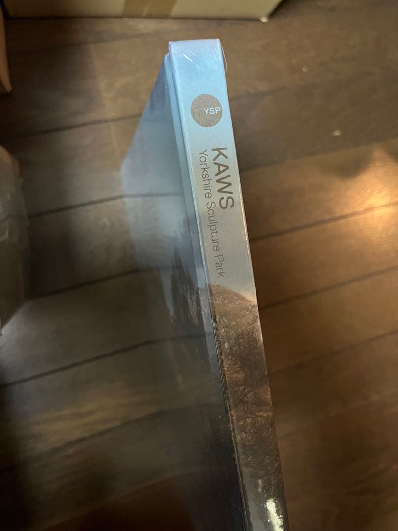 KAWS カウズ 洋書 ヨークシャー公園 写真集 作品集 現代アート カタログ